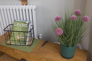 Luxury Large Five Bedroom Family House Sleeps 10