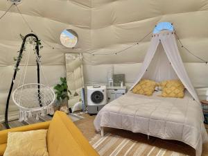 Stunning Geo Dome with Joshua Tree vibes