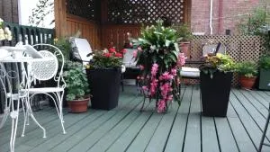 B B le transit - Scott