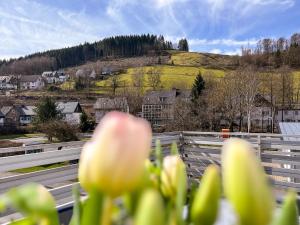 Silbach Panorama Lodge