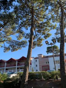 Little Murmur - Détente absolue entre lac, golf et océan à Hossegor