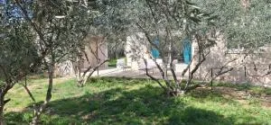 La terrasse des Oliviers - 皮埃沙邦