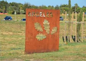 Appartements ARGELES sur MER APPT RDC CADAQUES TOUT CONFORT JARDIN PISCINE PARKING WIFI : photos des chambres