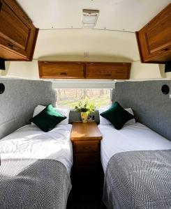 Bonny Airstream