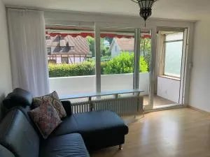 Simple Rhine view apartment - Büsingen am Hochrhein