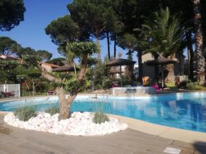 Appartements ARGELES sur MER APPT RDC CADAQUES TOUT CONFORT JARDIN PISCINE PARKING WIFI : Appartement 2 Chambres