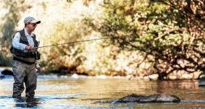 T3 St HIP - Sancey-le-Long