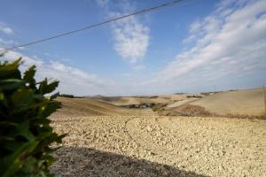 La casina dei Praticelli img34