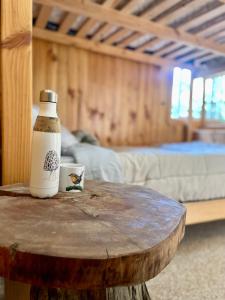 Refugio Parque Tepuhueico Zona Costa