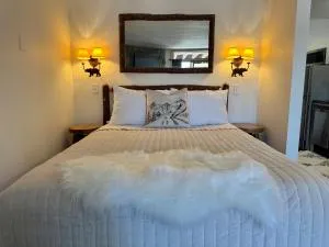 Lake View Ski in Ski out Lutsen Mtn Pets Welcome - Hovland