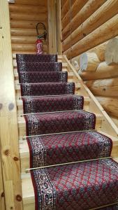 Appart'hotels Hotel Residence Le Pin Sylvestre Amneville : photos des chambres