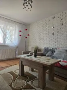 Apartament Grabskiego - Santoczno