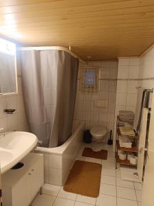 Como apartamento en el centro de st Gallen