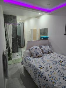 Appartements Appart 40m2 independant, confortable avec terasse : photos des chambres