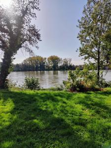 Appartements Coeur d-emeraude : photos des chambres