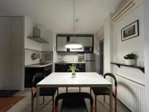 Danube View - 彼得罗瓦拉丁