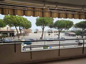 Cavalluccio Marino i7 Silvi Vacanza