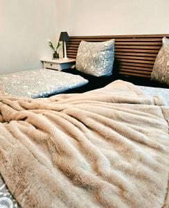 Ferienwohnung Sinsheim