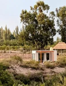 Cabaña Container en Viñedos - 阿尔韦亚尔将军镇