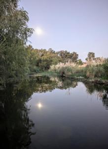 Cabaña Container en Viñedos