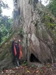 Hostal Tachiwa Curinisi Huasi - Macedonia