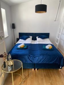 Queen Bee Apartments Cracow Old Town