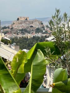 AthensView Bird’s Eye Penthouse with Acropolis view