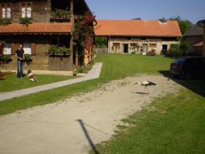 Apartments Iža Na Trem