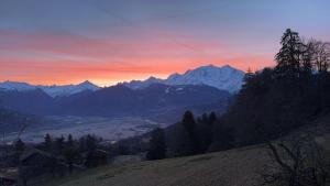 Chalets Le Mazot de L-Arpenaz : photos des chambres