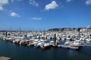 Appartements Residence L53-trebeurden - Da Viken jolie maison jardin clos et parking prive MAE-3694 : photos des chambres