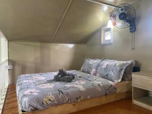 Dtwinnie homestay lalita house