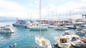 Villa Diana, Dreizimmerwohnung