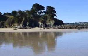 Maisons de vacances Kervig maison a 2 pas des plages : photos des chambres