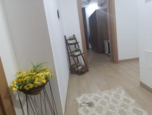Flat opposite Muscat mall