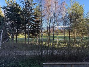 SPA, Ski and Golfseasons huge apartament near Bansko