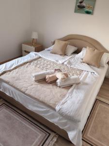 Sveti Luka- OBRADOVIĆ SOKAK 41