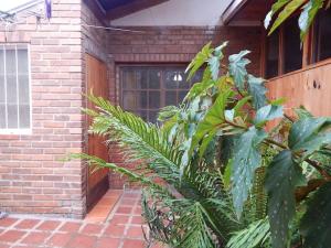 Rincón verde