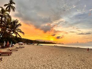 Puerto Manglar Hostal