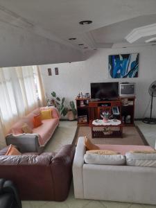 Martin de Sá - Casa da Olivia