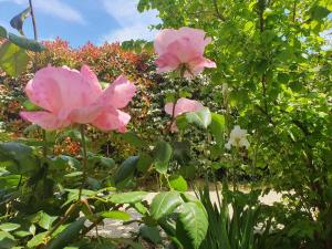 Villas Le Ranch : photos des chambres
