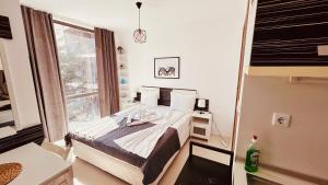 Rainbow 3-213 Large Studio Delux