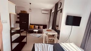 Rainbow 3-213 Large Studio Delux