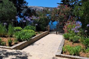 Apartments by the sea Stara Novalja, Pag - 24010