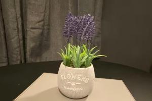 Cosy 2 Bed House - Sleeps 3 Parking & Garden