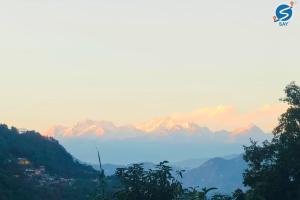 Say Homes Glorious Holidays