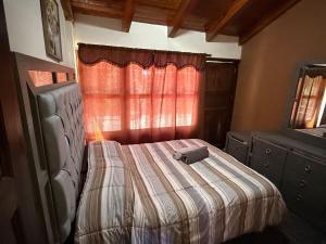 Departamento Céntrico Estilo Cabaña