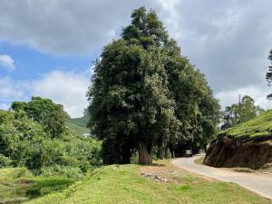 Casa Grande Homestay Anaviratty Munnar