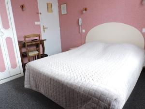 Hotels Belvedere Montargis Amilly : Chambre Simple