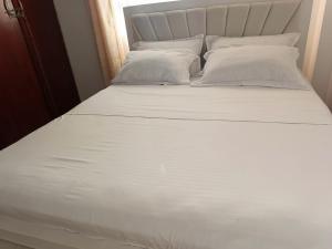 Kings & Queens Arena