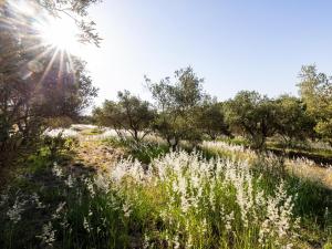 Belcharto Accommodation